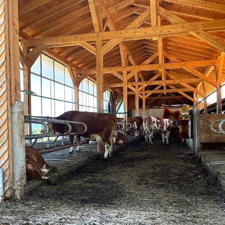 Landgasthof Blasini - Pfahlhof Zandt Zewnętrze zdjęcie