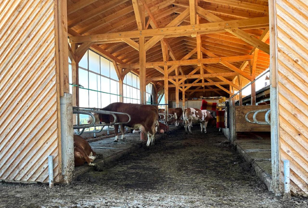 Landgasthof Blasini - Pfahlhof Zandt Zewnętrze zdjęcie