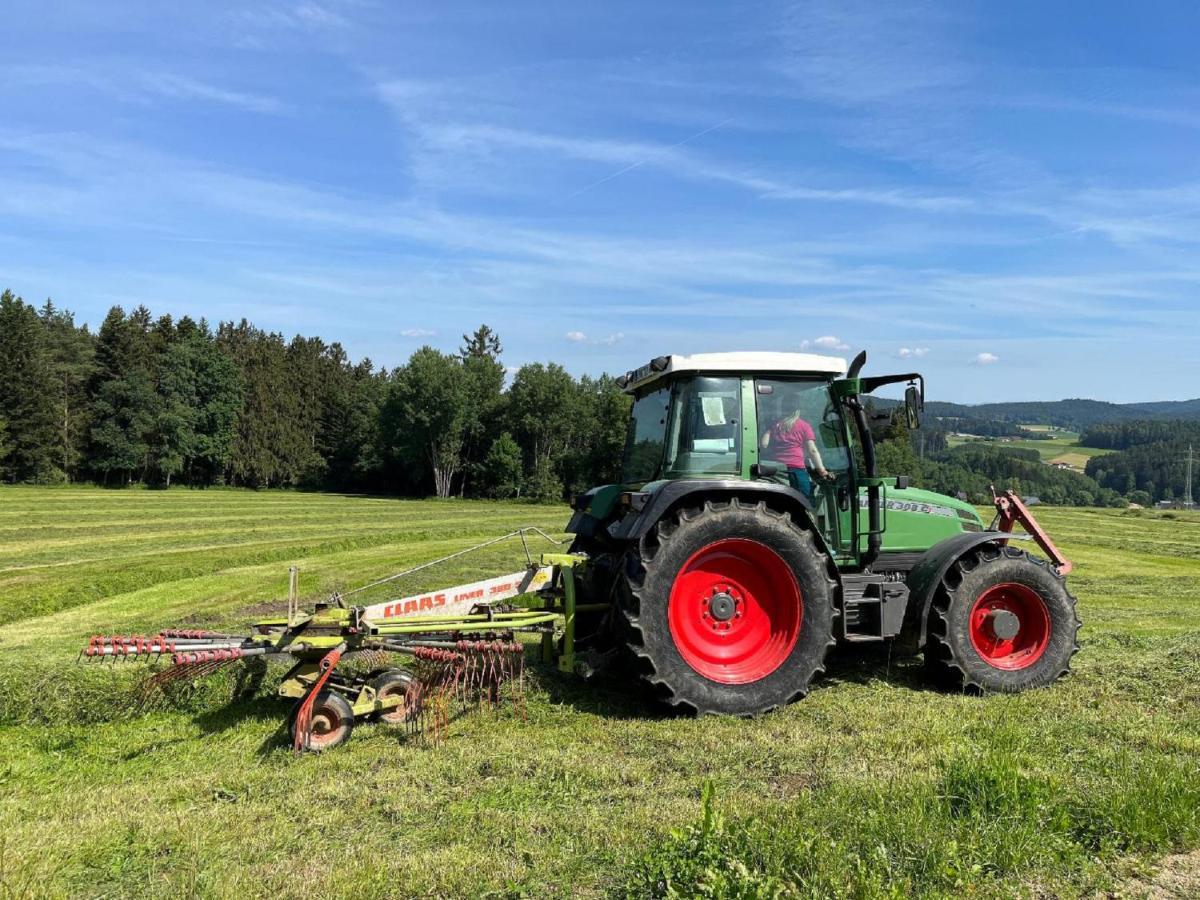 Landgasthof Blasini - Pfahlhof Zandt Zewnętrze zdjęcie