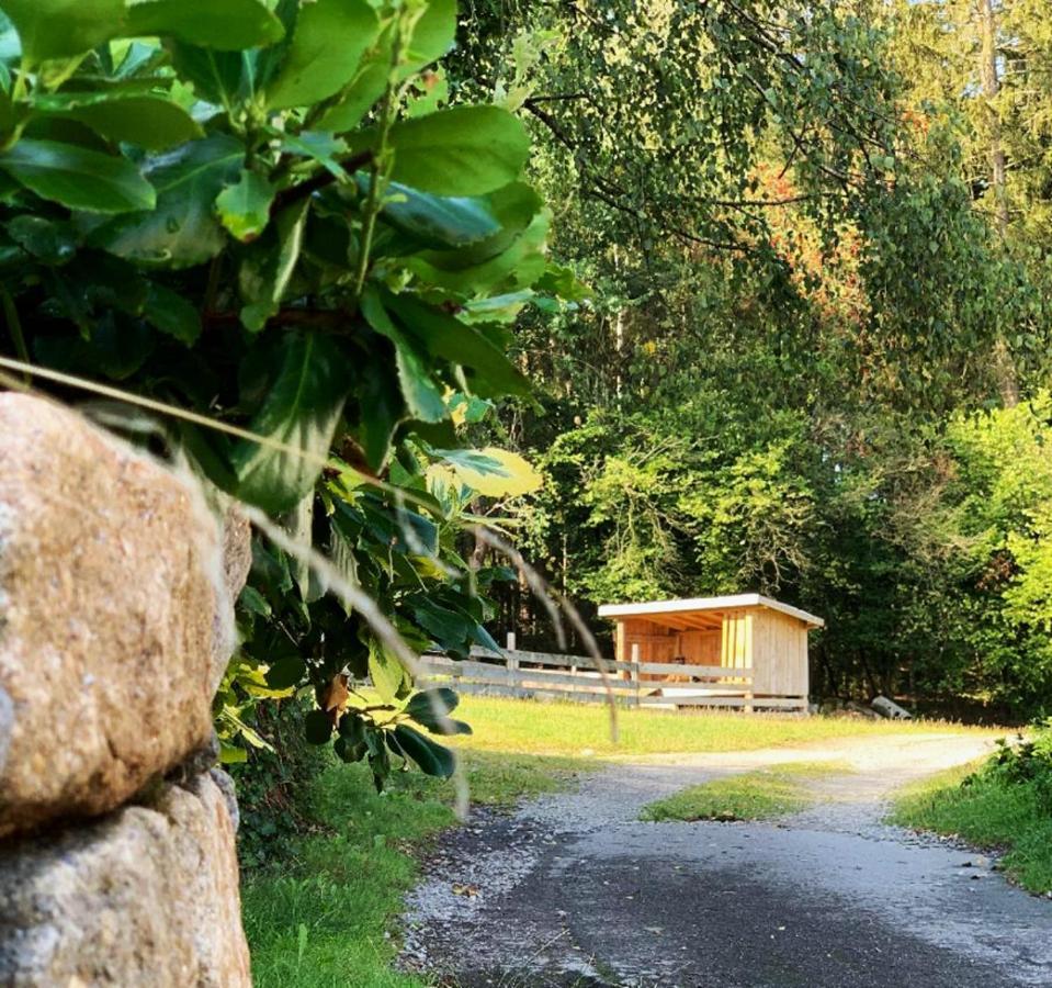 Landgasthof Blasini - Pfahlhof Zandt Zewnętrze zdjęcie