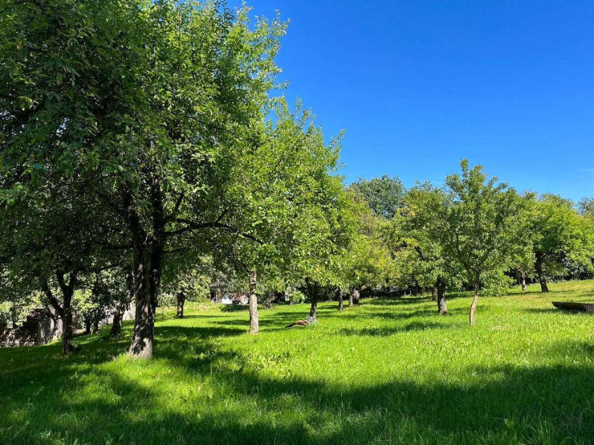 Landgasthof Blasini - Pfahlhof Zandt Zewnętrze zdjęcie